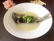 鲫鱼红枣汤的功效与作用,红枣煲鲫鱼汤的功效