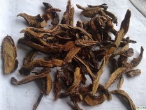 骨碎补泡酒有什么功效,骨碎补泡酒有什么功效与作用