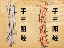 经络灵功效,经络的效果