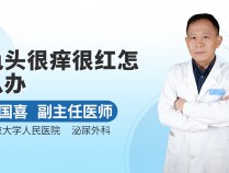 炎龟板的功效,龟炎净的主治和副作用