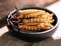 虫草功效图片,虫草的功效图片