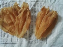 鱼胶油的功效,鱼胶鱼油