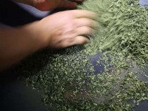 燕麦茶功效,燕麦茶的制作