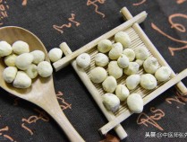 厚朴半夏汤功效与作用,厚朴半夏汤功效与作用是什么