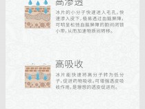 冰片得功效,冰片的功效与用法